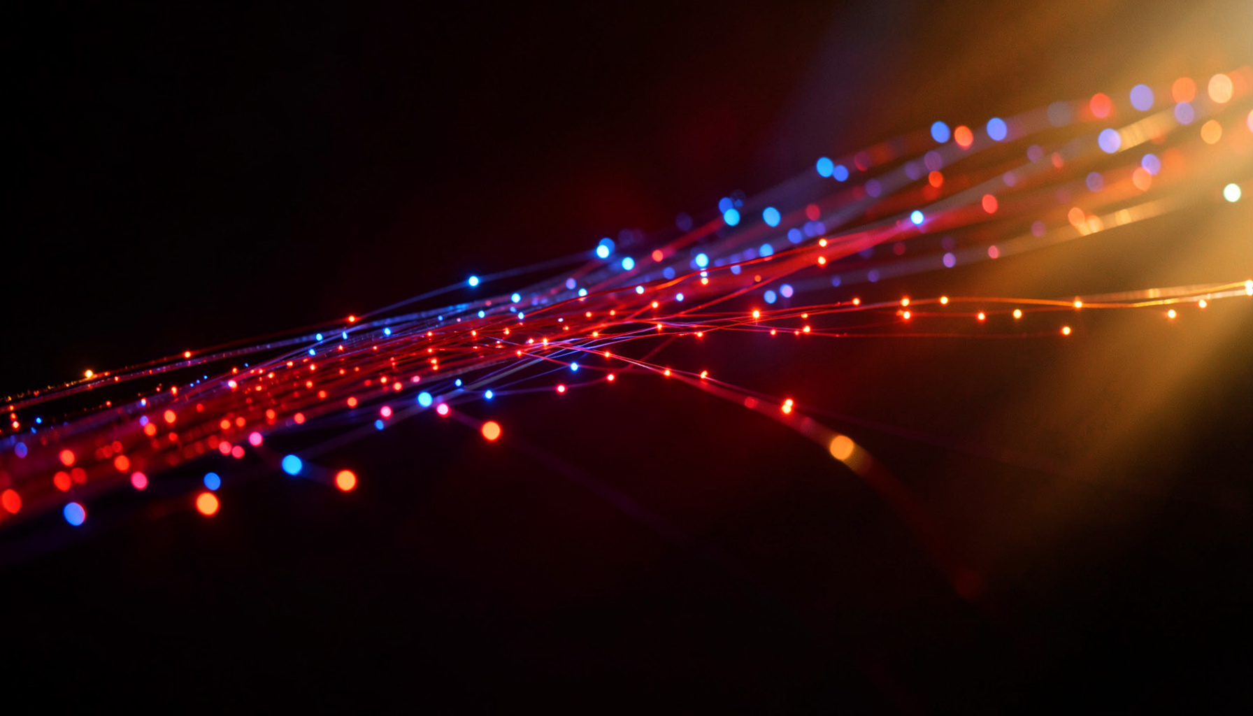 Faisceaux de fibres optiques illuminés de points lumineux rouges et bleus sur fond sombre, capturés en lumière ambiante chaude.