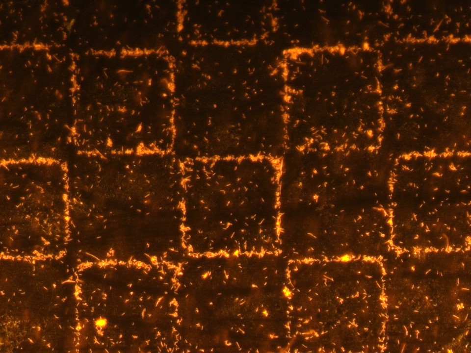 Surface sombre segmentée en rectangles, lignes de séparation brillant d'un éclat orange ambré, évoquant un laboratoire de pointe baigné d'une lumière chaude.